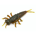 Твистеры съедоб. искусст. LJ Pro Series NAYADA 2,5in (06.35)/PA16 7шт.