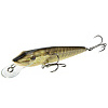 Воблер плавающий Salmo PIKE F 11/RPE
