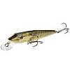 Воблер плав. Salmo PIKE F 11/RPE