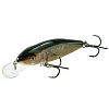 Воблер плавающий Salmo PERCH F 08/RR