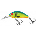 Воблер плавающий Salmo HORNET RATTLIN F 06.5/CB