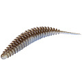 Слаги съедобные искусственные LJ Pro Series ULTRA WORM 2,0in (05.00)/T46 9шт.