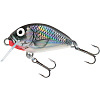 Воблер плавающий Salmo TINY F 03/HGS