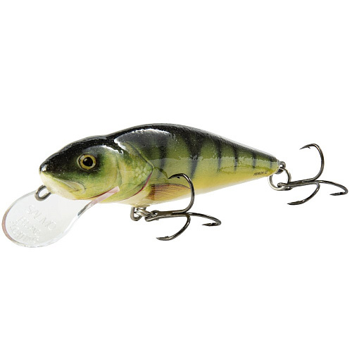 Воблер плавающий Salmo PERCH DR 012/P