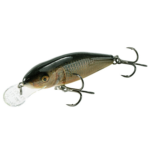 Воблер плав. Salmo PERCH F 08/RR