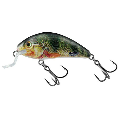 Воблер плав. Salmo HORNET RATTLIN F 04.5SR/SNP