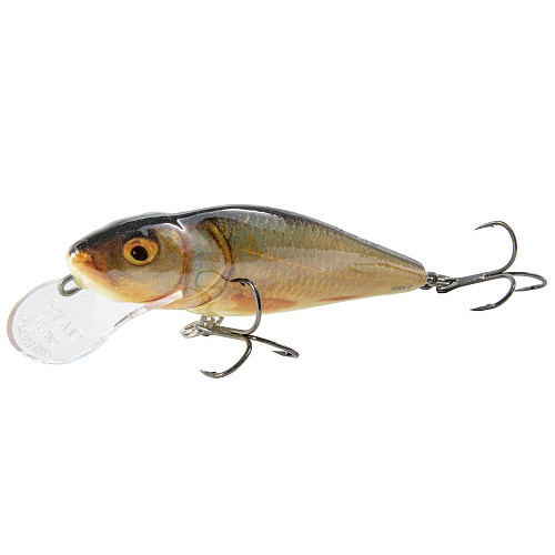 Воблер плавающий Salmo PERCH DR 012/RP
