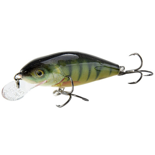 Воблер плавающий Salmo PERCH F 08/PH